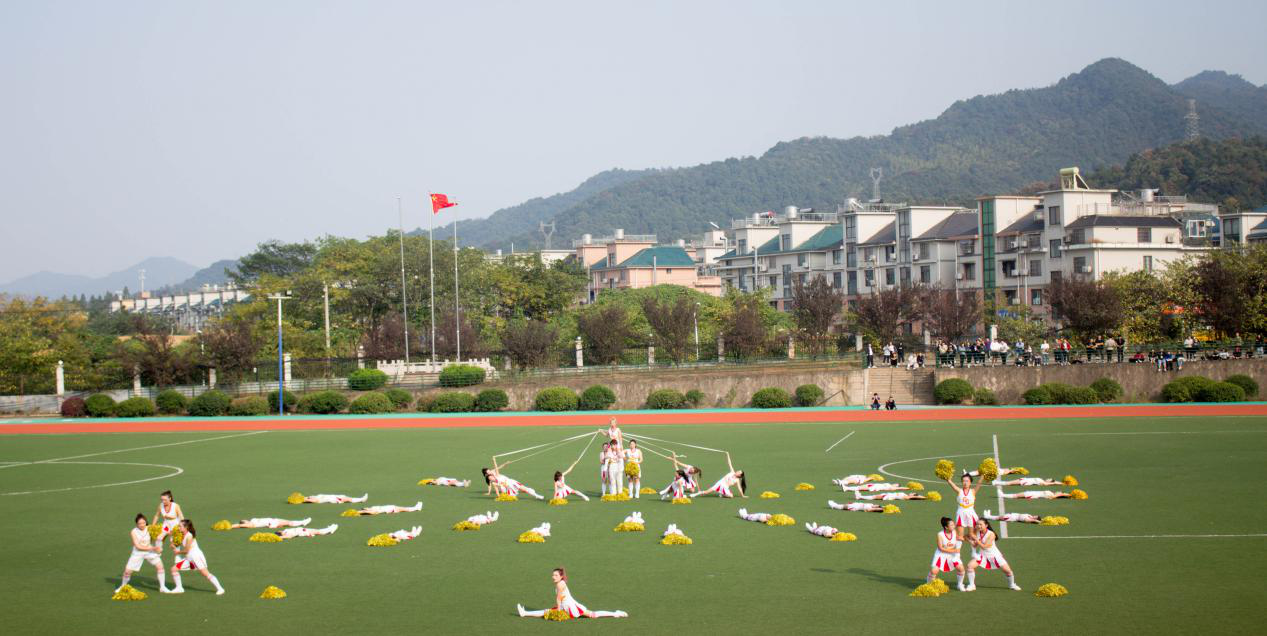 图片15