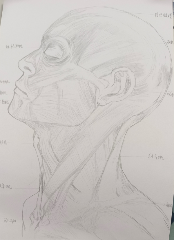 图片 4
