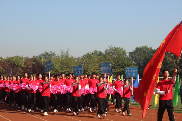 图片 7